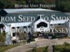 From Seed to Smoke: A Cigar’s Odyssey
