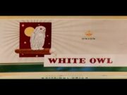 White Owl Ranger