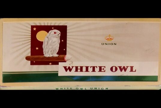 White Owl Ranger
